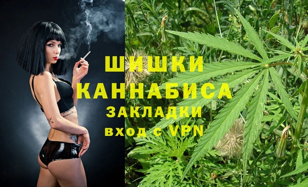 сатива Краснослободск