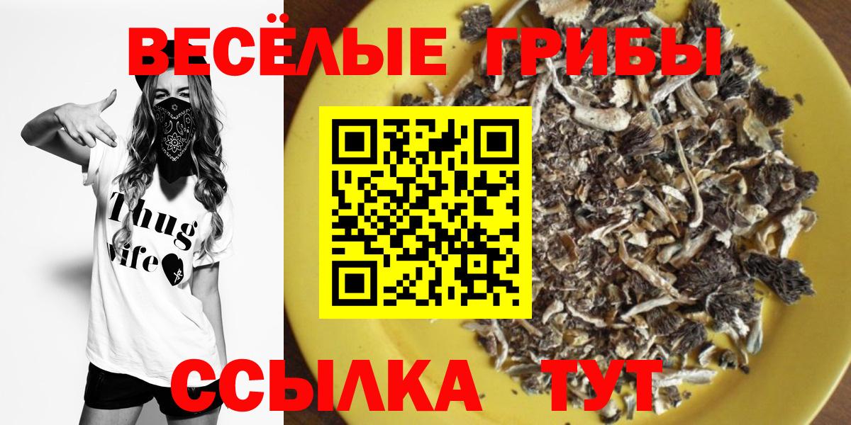 Рыбинск  закладки  Вход с VPN  Псилоцибиновые грибы мухоморы 