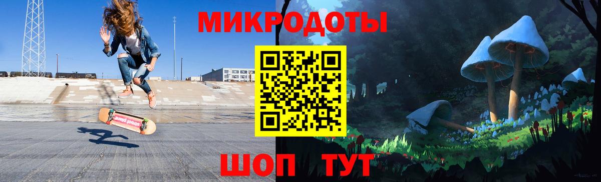 Галлюциногенные грибы Psilocybine cubensis Рыбинск